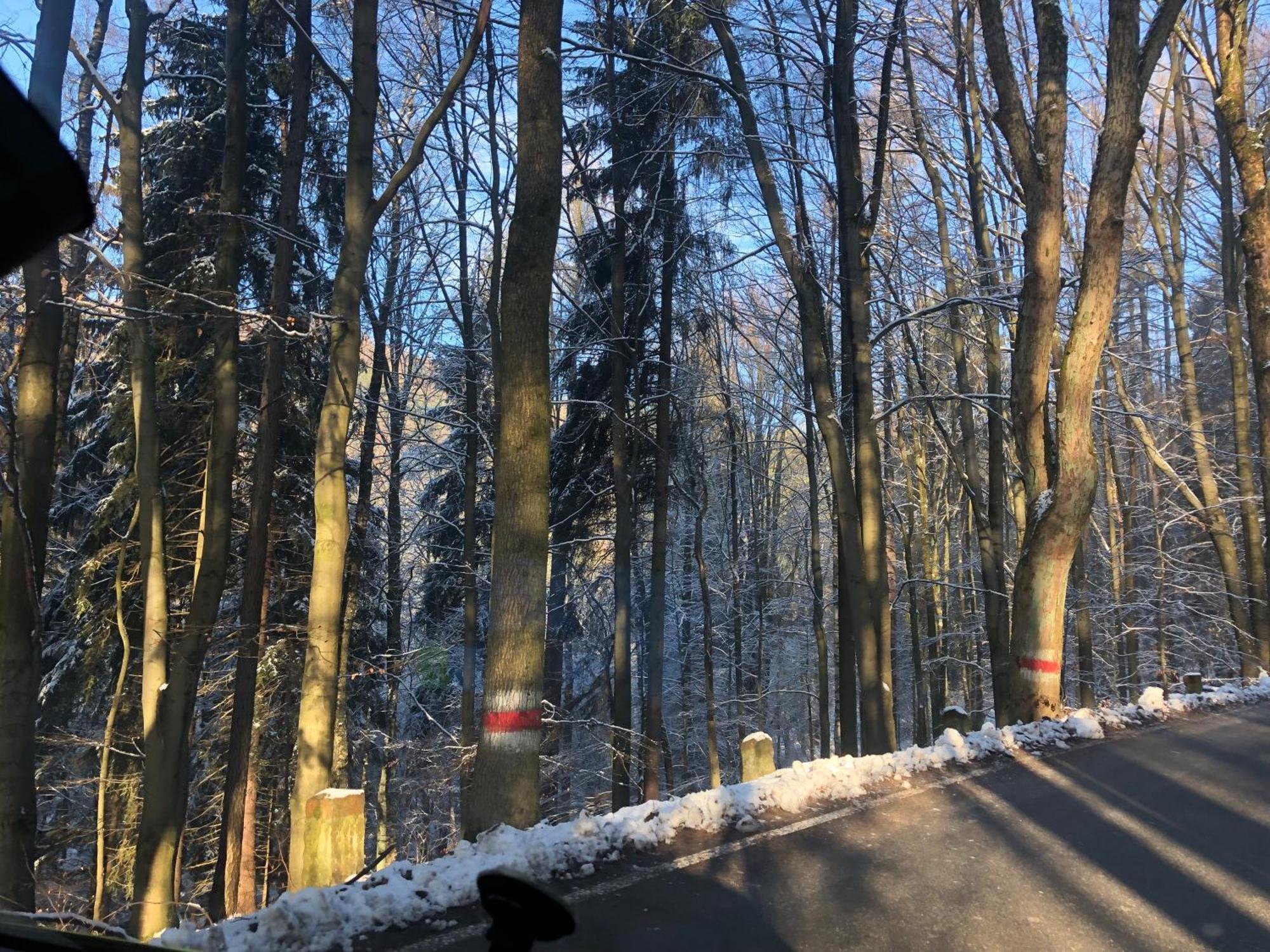 Kotlina Klodzka - Na Wylacznosc Na Letniej , 63 M , 2 Sypialnie , Salon Z Aneksem Kuchennym , Balkon , Podziemny Garaz Free Klodzko